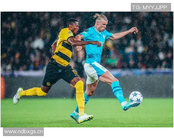 2025年欧洲国家队进球统计哈兰德以15球领跑姆巴佩紧随其后 2025年欧洲国家队进球统计哈兰德以15球领跑姆巴佩紧随其后